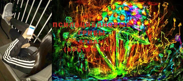 прущие крисы Абаза