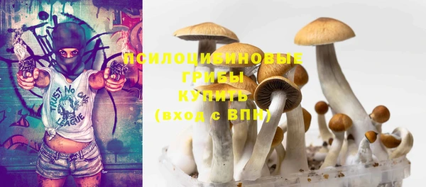 прущие крисы Абаза