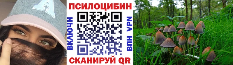 MEGA зеркало  Челябинск  Галлюциногенные грибы Psilocybe 